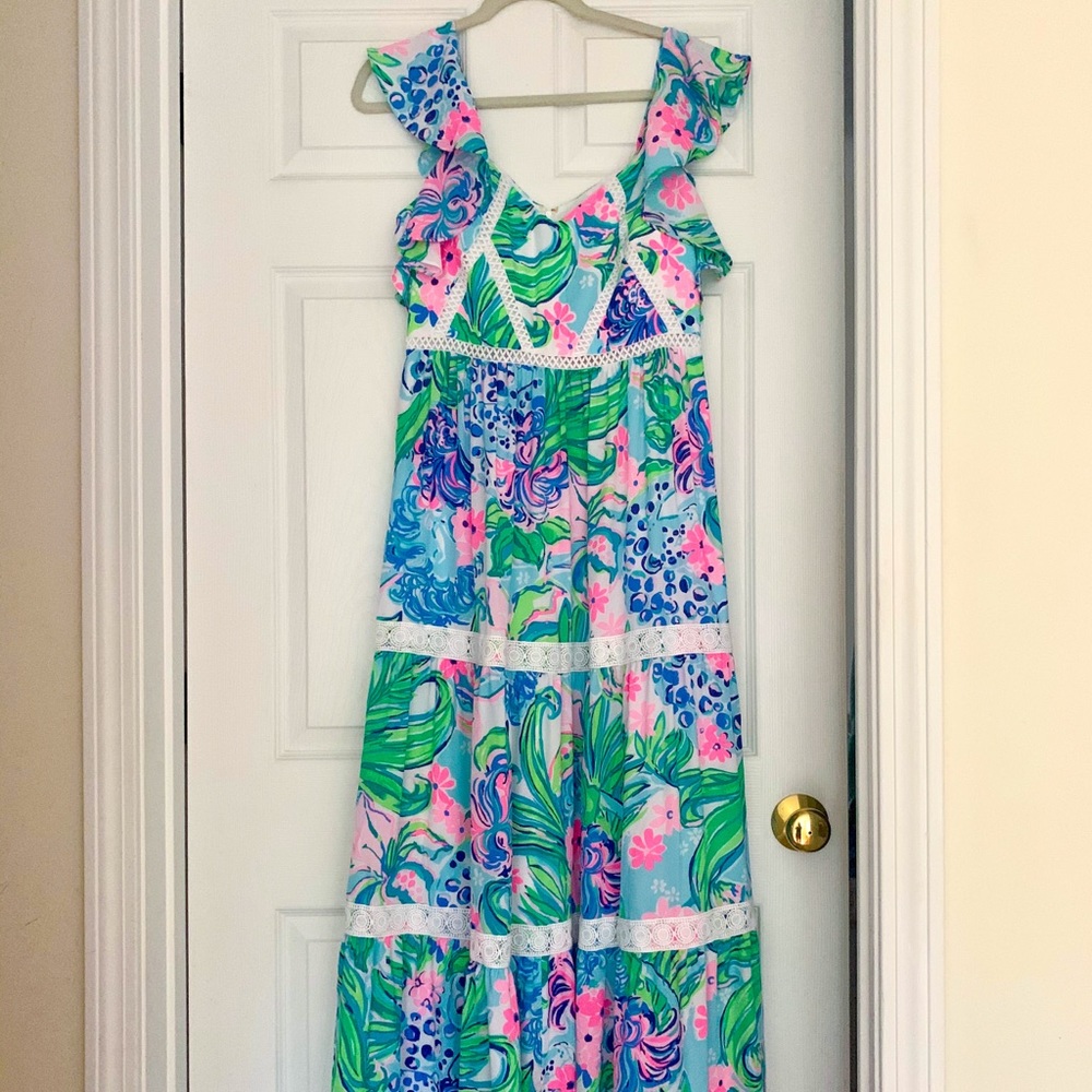 NWT Ivie Maxi Dress in Multi Kitten Around